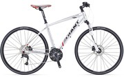 Giant Roam 2