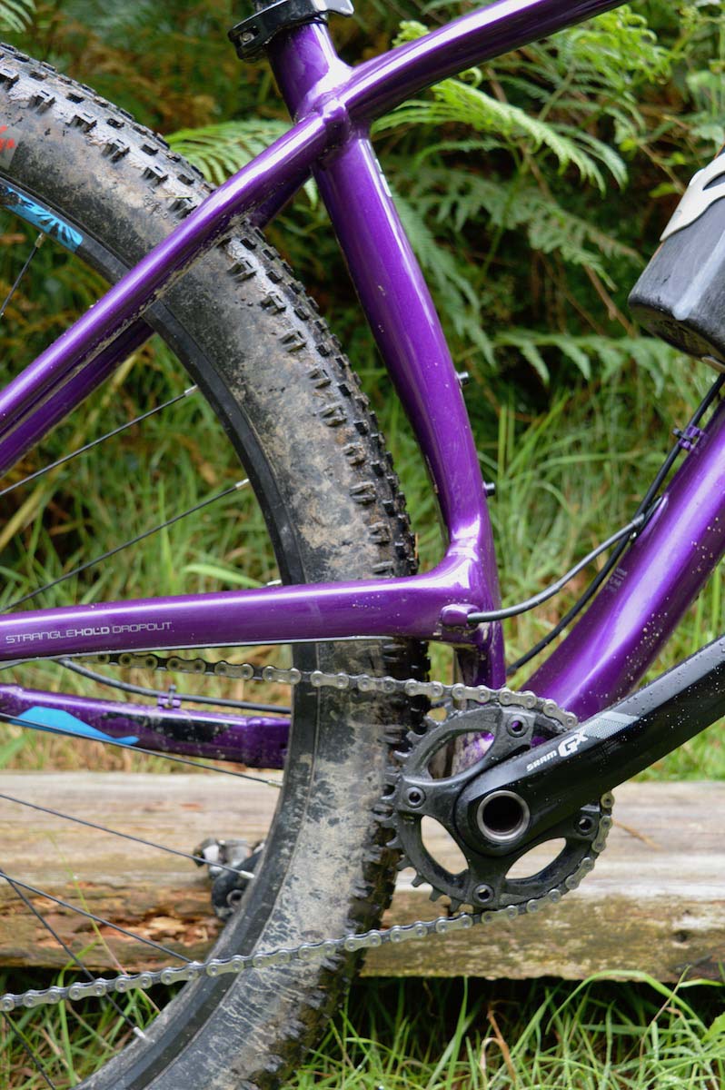 Elevated chainstay