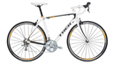 Round Up: Sportive Road Bikes
