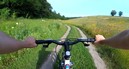 Coping with Insects When Cycling