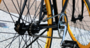 How to: Buy the right sized bike