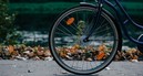 Your winter cycling saviour: Mudguards