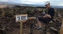 Cyclescheme 7: Rikki