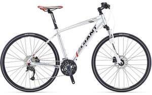 Giant Roam 2