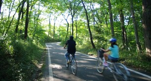 How to: Overcome hay fever when cycling