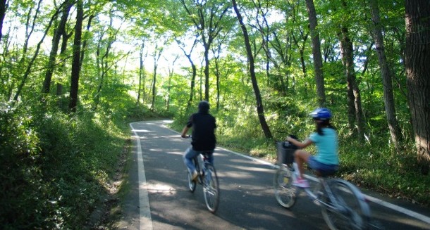How to: Overcome hay fever when cycling